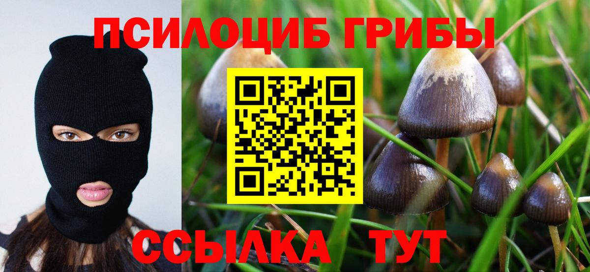 Лысьва  Галлюциногенные грибы GOLDEN TEACHER  Вход с VPN 